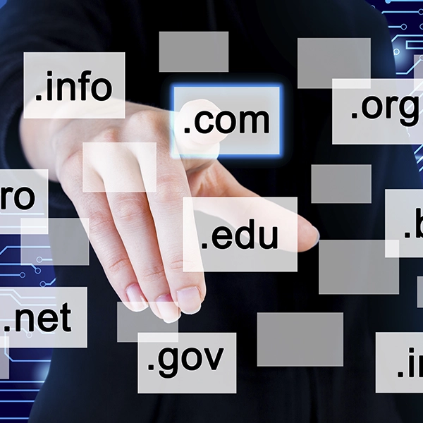 Domain Registration Service in Vadodara