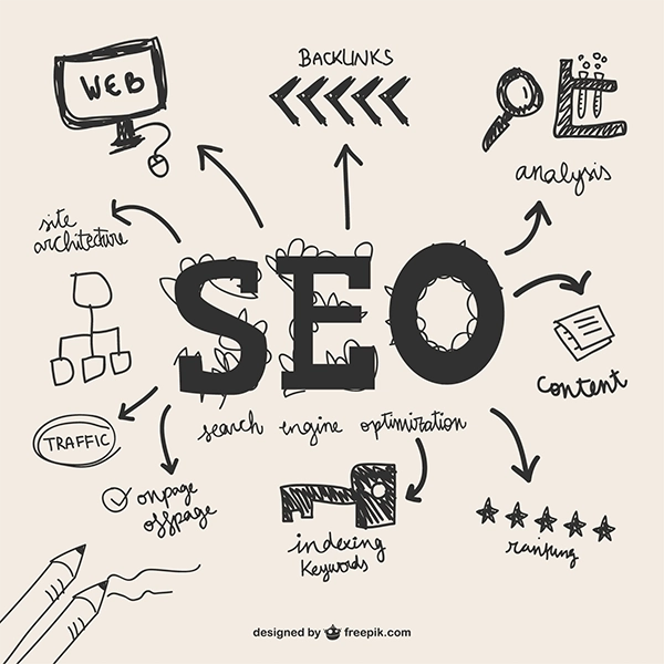 SEO Optimization Service in Vadodara